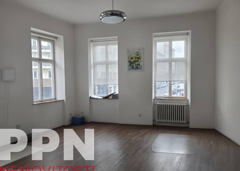 Pronájem bytu 101  m² 3kk