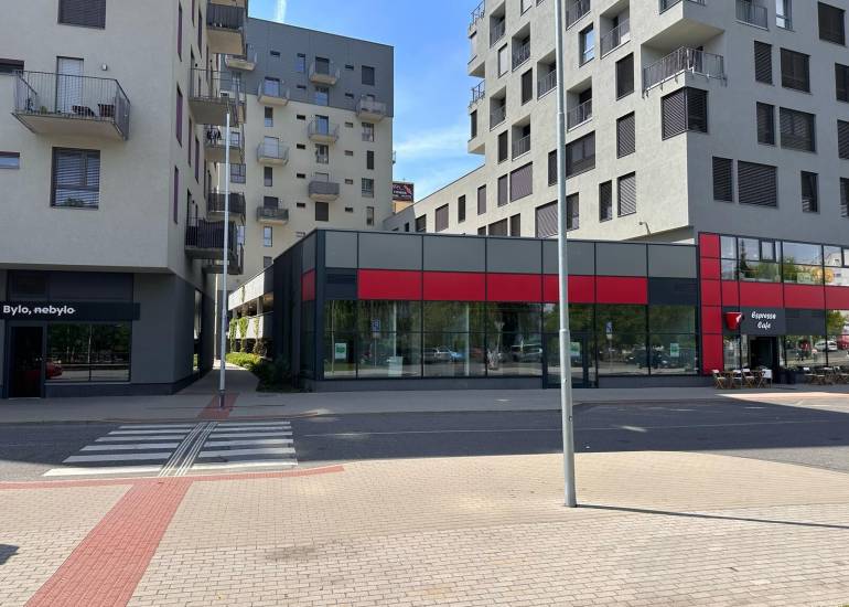 Pronájem 168  m²