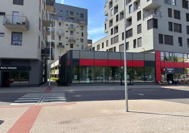 Pronájem 168  m²