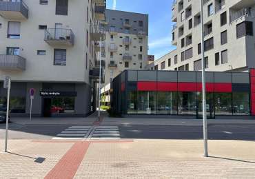 Pronájem 168  m²