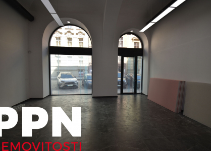 Pronájem komerčního prostoru, Obchodní